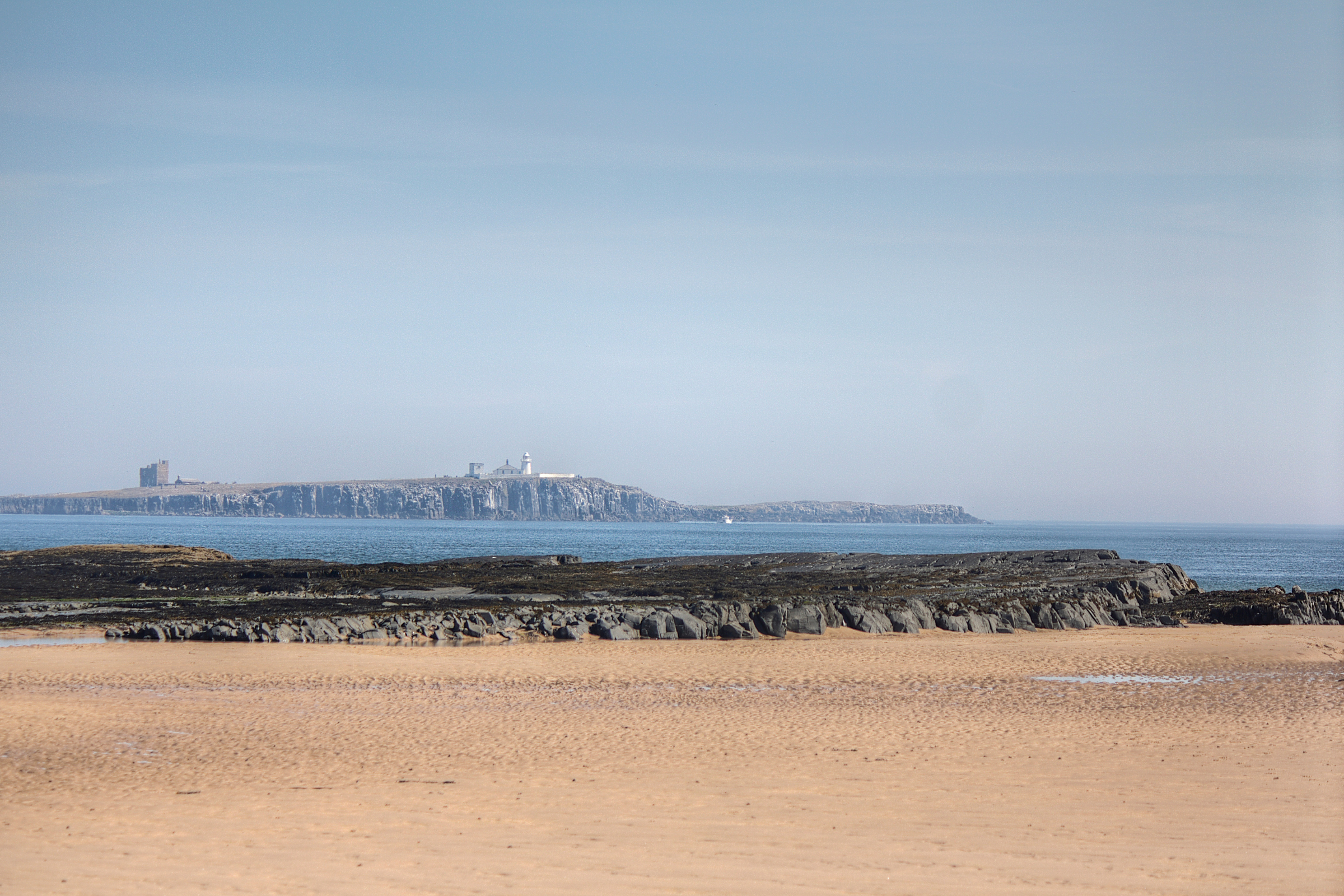 farne islands (3).webp